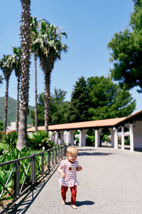 Rear view of boy against trees against sky