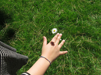 Cropped image of woman hand on grass