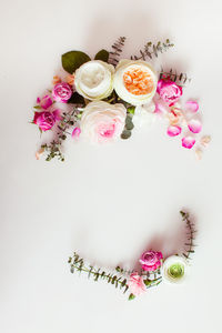 High angle view of pink roses against white background