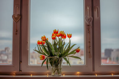 Flowering plant by window against orange sky