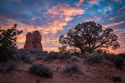 Trees on landscape against sky at sunset