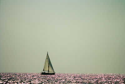 Sailboats in sea against clear sky