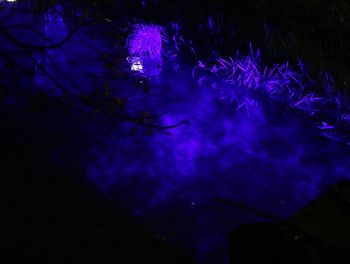 Close-up of illuminated swimming underwater