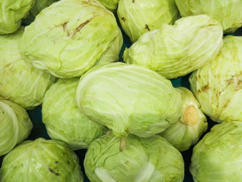 Group of cabbage in the supermarket.