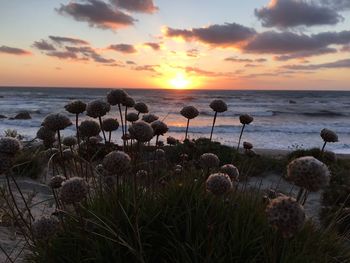 Scenic view of sea against sky during sunset