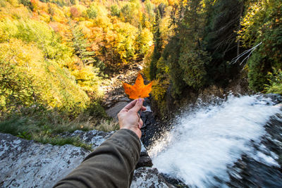 Low section of man on rock by river in forest