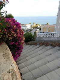 Flowers by sea against sky