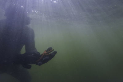 Man swimming underwater