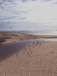 Seagulls on beach