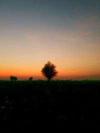 Silhouette trees on field against sky during sunset