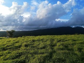 Scenic view of field against sky