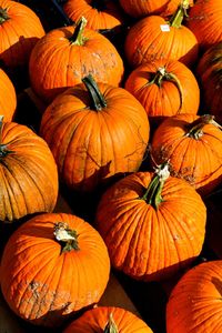 Full frame shot of pumpkins in market