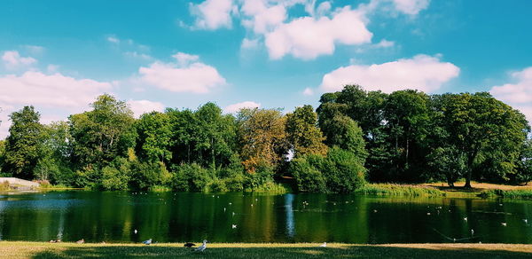 Scenic view of lake by trees against sky