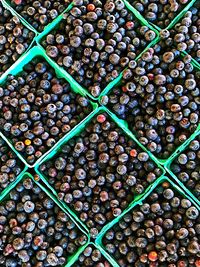 Full frame shot of blueberries