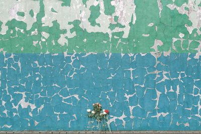 Flowers against wall