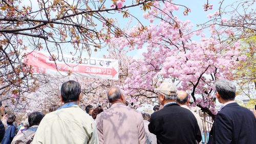 People with flowers on tree