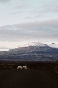 Scenic view of mountain range against sky during winter