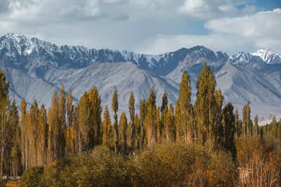 Scenic view of snowcapped mountains against sky