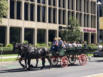 Horse cart in city