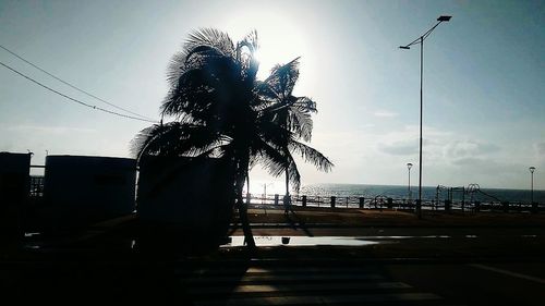 Silhouette palm tree by sea against sky