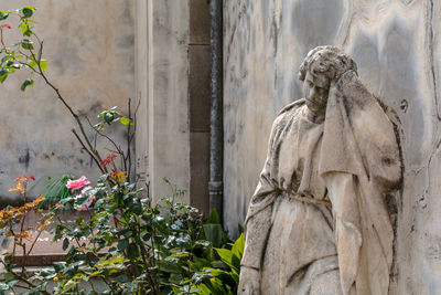 Sculpture and rosebush on grave in poblenou cemetery. peaceful but macabre, cemetery of poblenou
