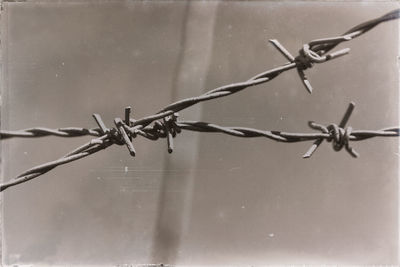 Close-up of wet barbed wire fence during rainy season