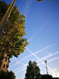 Low angle view of trees against blue sky