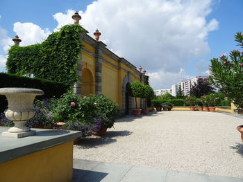 Potted plants by building against sky