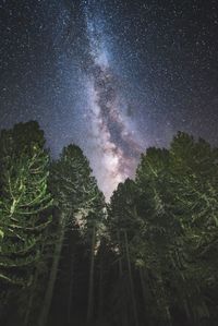 Low angle view of starry sky