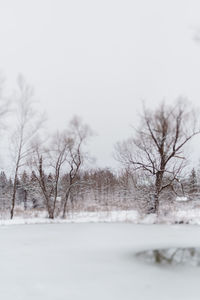 Bare trees on snow field against clear sky