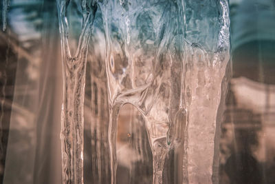 Close-up of glass window against trees