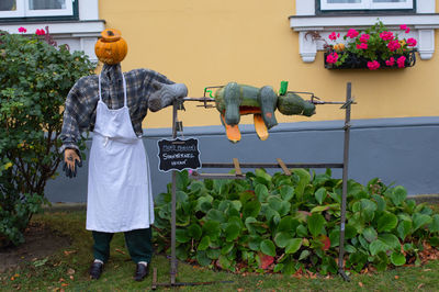 Rear view of people standing by flowering plants