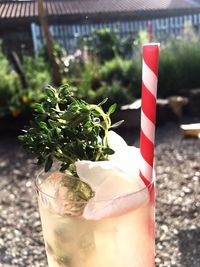 Close-up of drink