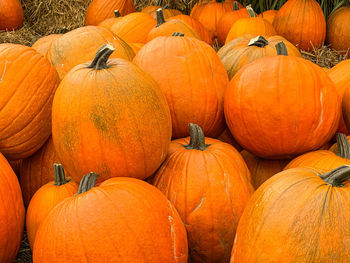 Full frame shot of pumpkins in market