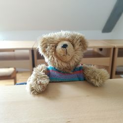 Close-up of a dog relaxing on toy at home