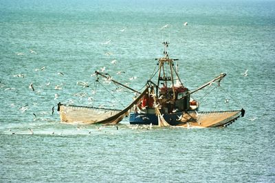 Seagulls flying of fishing boat sailing in sea