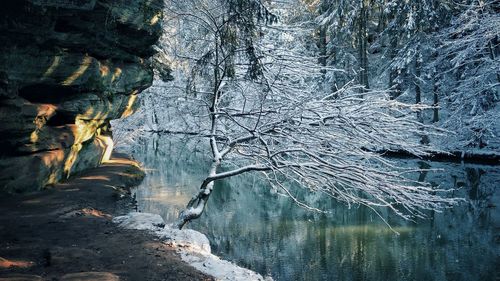 Scenic view of frozen lake