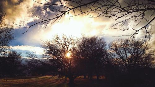 Bare trees on landscape against cloudy sky at sunset