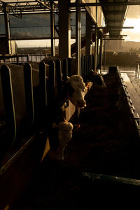 View of an sitting in train