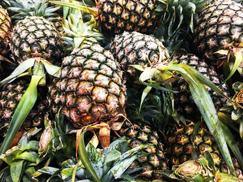 Close-up of fruits for sale in market