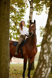 Horse standing in forest