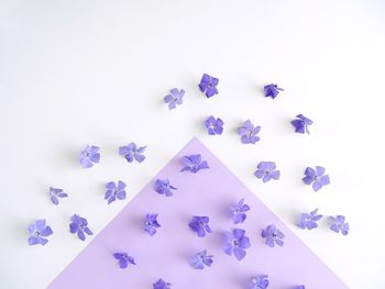 High angle view of paper flowers against white background