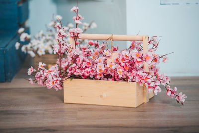 Close-up of pink flowering plant in basket on table