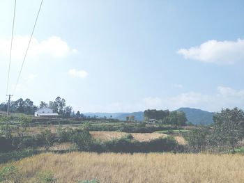 Scenic view of field against sky