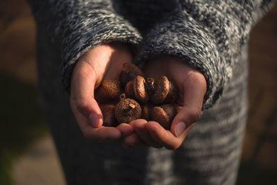 Midsection of woman holding acorns