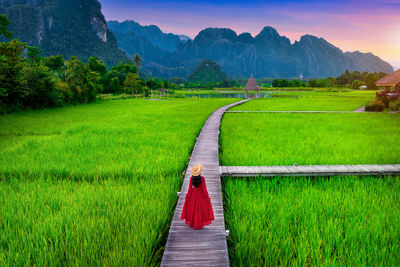 Scenic view of agricultural field against sky