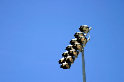 Low angle view of lizard against clear blue sky