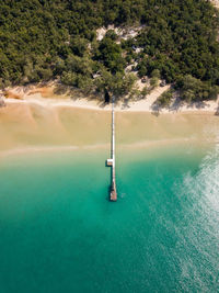 High angle view of sea and trees