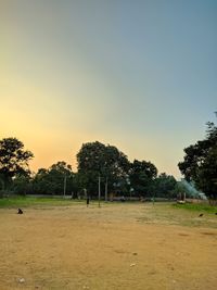 Scenic view of field against clear sky