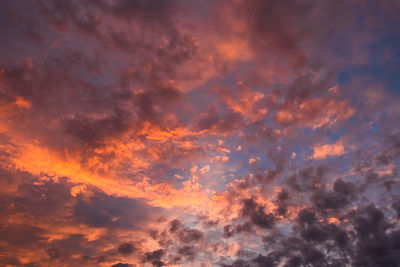 Pink and orange clouds at sunset. beautiful sky at twilight. fluffy clouds in sun. 